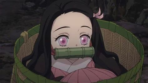 mitsuri age|nezuko kamado age 2022.